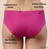 Avoiding Panty Lines: Seamless Underwear Panty for Women Combo (Pack of 4)