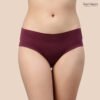 Avoiding Panty Lines: Seamless Underwear Panty for Women Combo (Pack of 4)